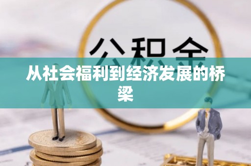前金从社会福利到经济发展的桥梁