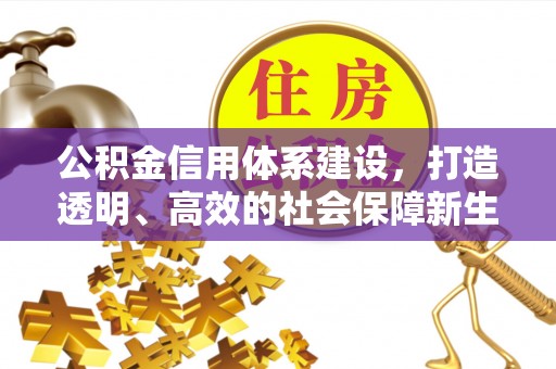 前金公积金信用体系建设，打造透明、高效的社会保障新生态