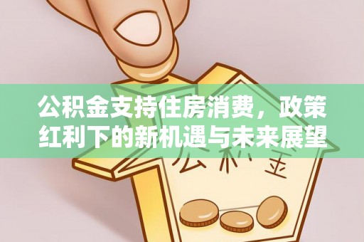 前金公积金支持住房消费，政策红利下的新机遇与未来展望