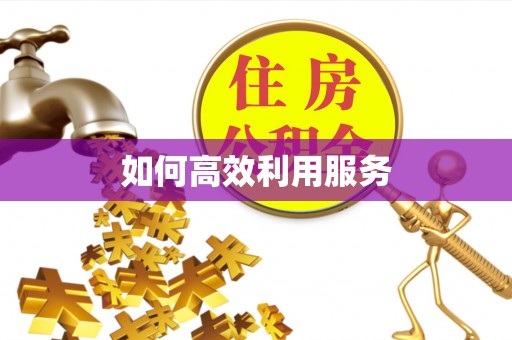 前金如何高效利用服务