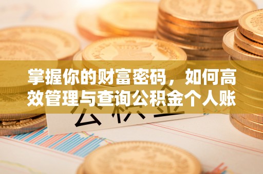 前金掌握你的财富密码，如何高效管理与查询公积金个人账户信息