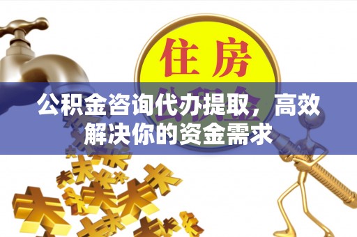 前金公积金咨询代办提取，高效解决你的资金需求