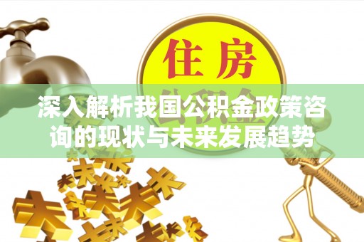 前金深入解析我国公积金政策咨询的现状与未来发展趋势