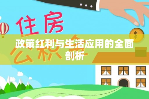 前金政策红利与生活应用的全面剖析
