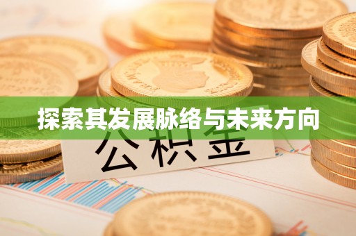前金探索其发展脉络与未来方向