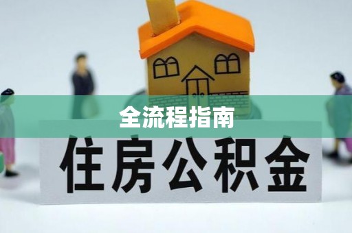 前金全流程指南