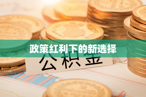 前金政策红利下的新选择